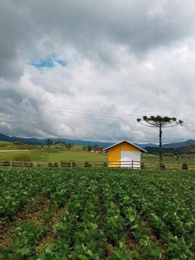 Cabana Caminho Das Borboletas Bom Retiro  Kültér fotó